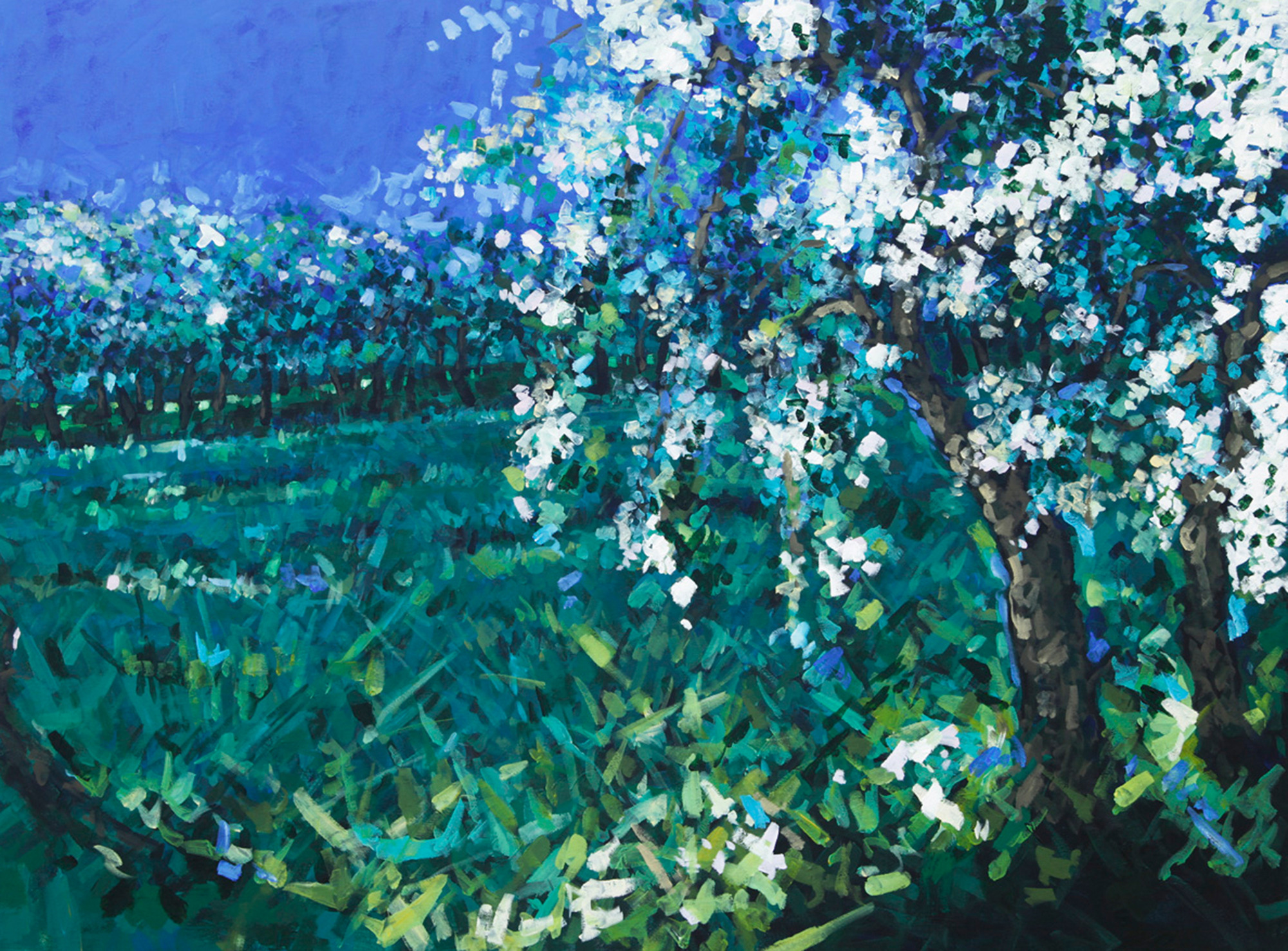 Apple Orchard 05