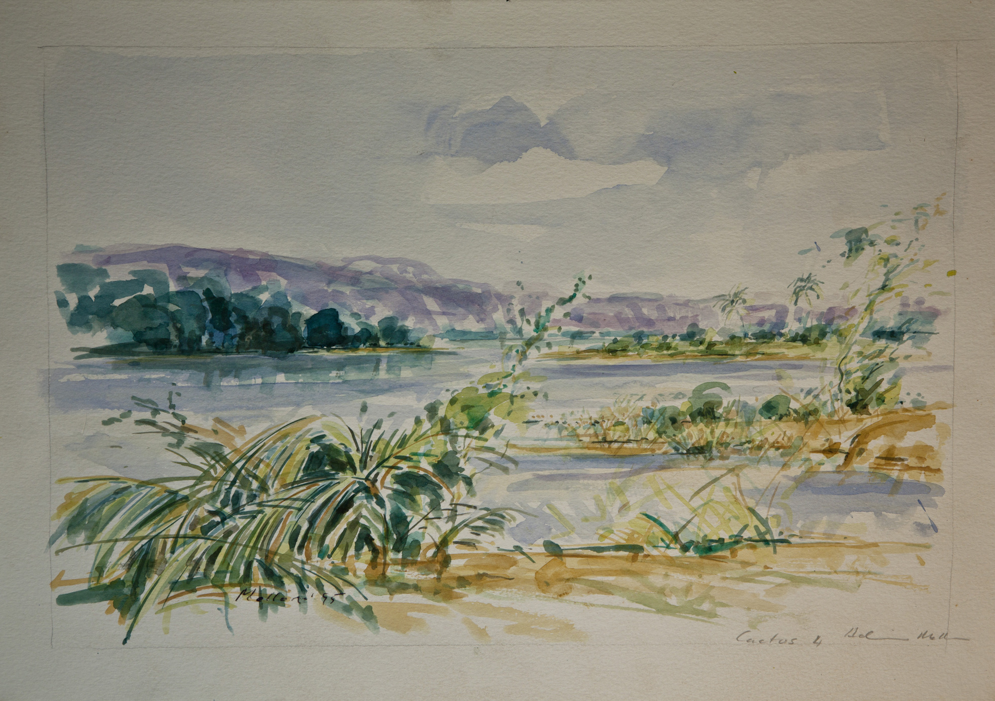 Mali 11