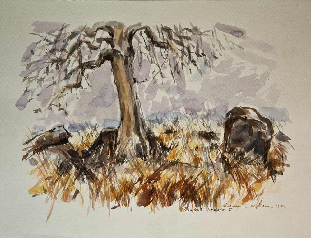 Mali 07