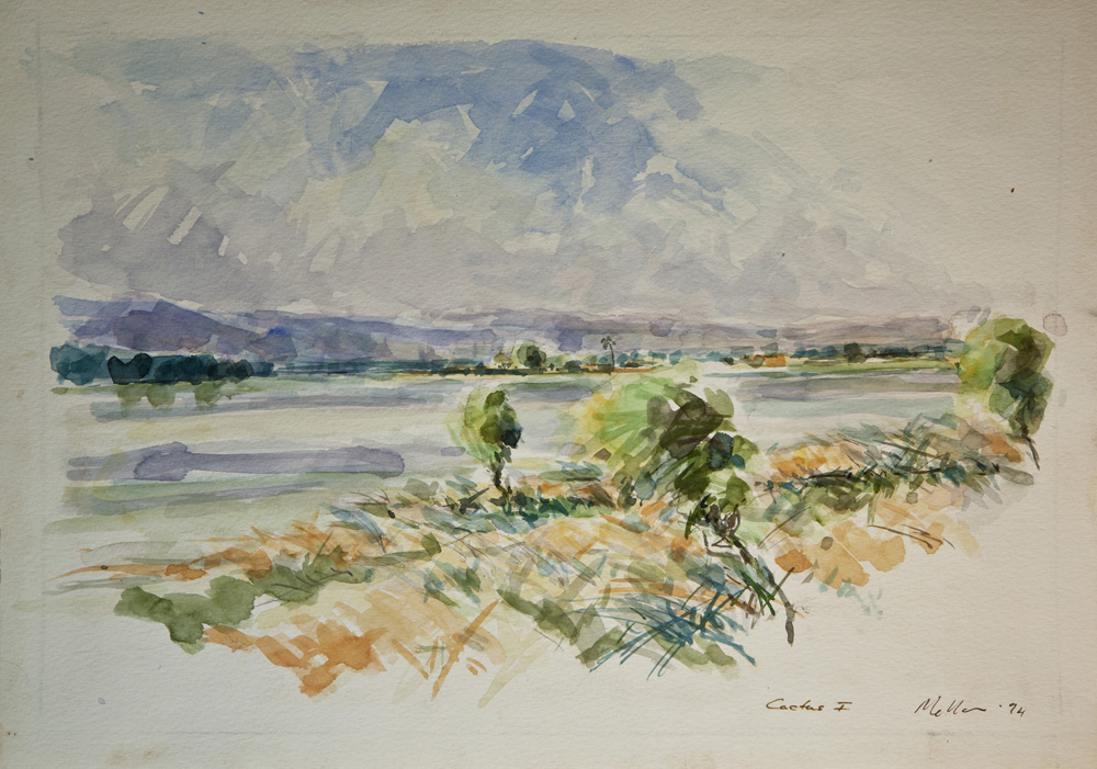 Mali 15