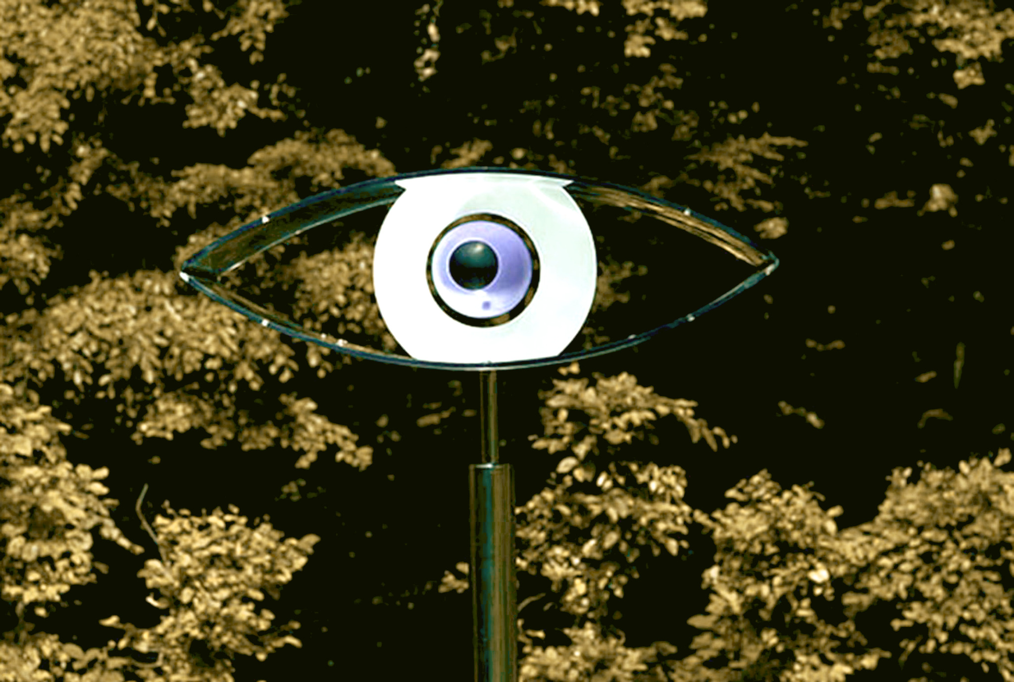 Eye Eye