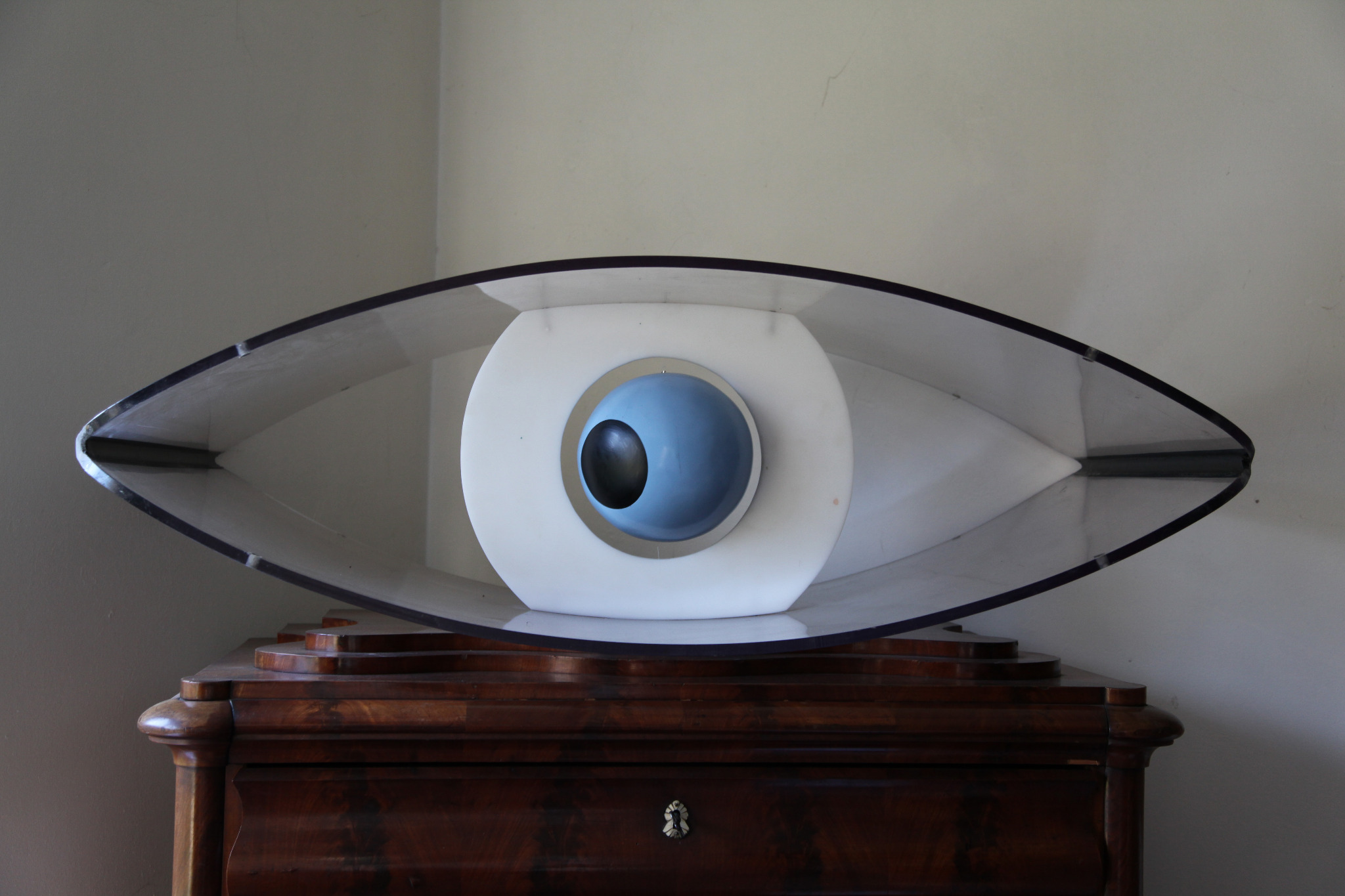 Eye Eye looking left
