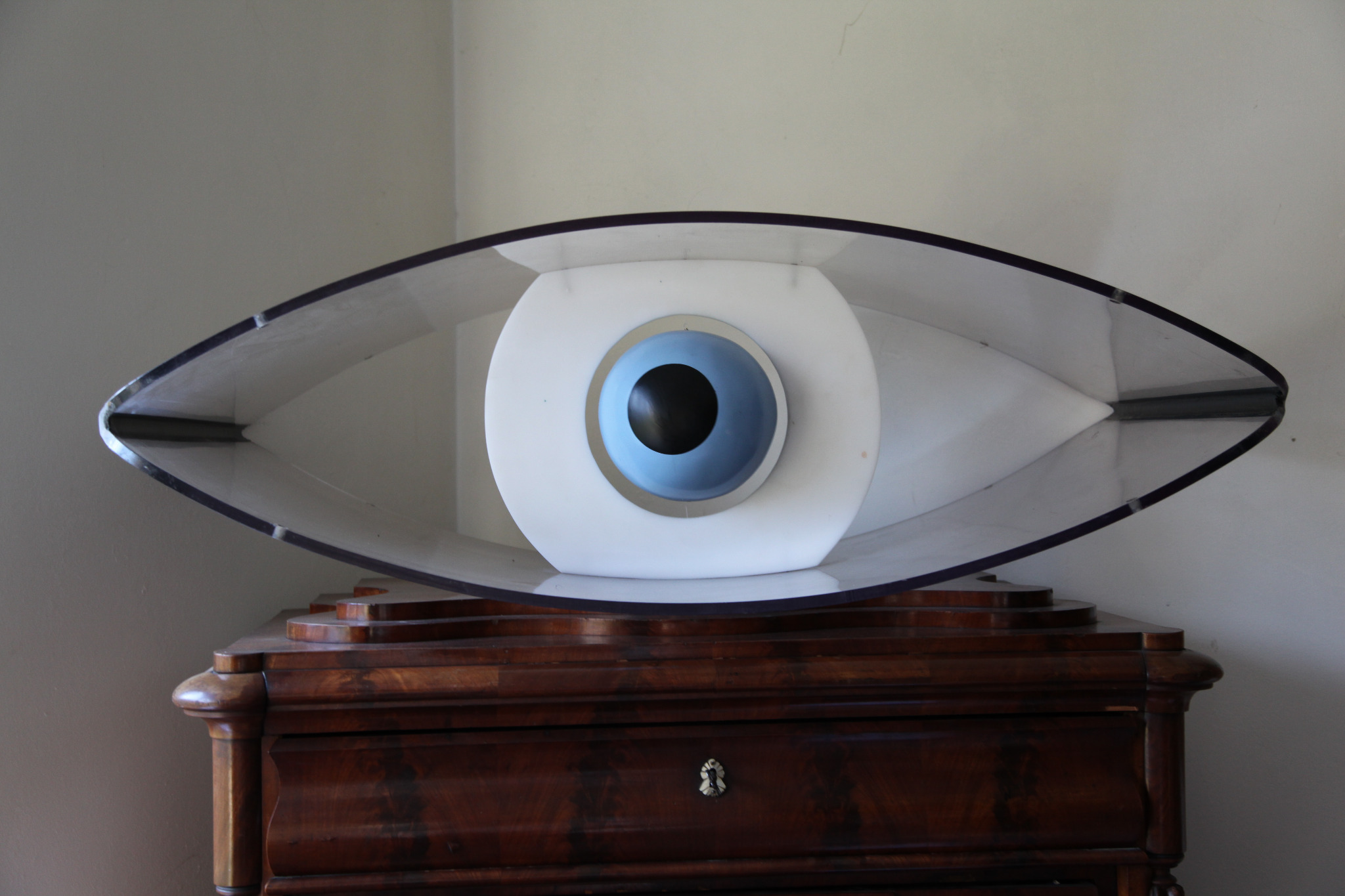 Eye Eye looking forward