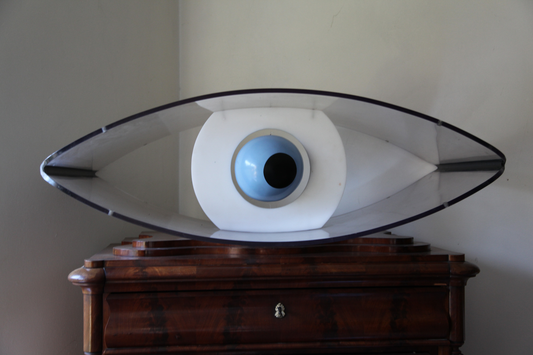 Eye Eye looking right