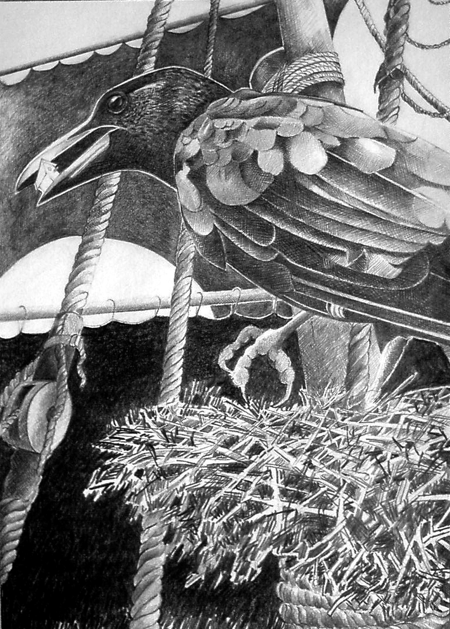 The Messenger in the Rigging