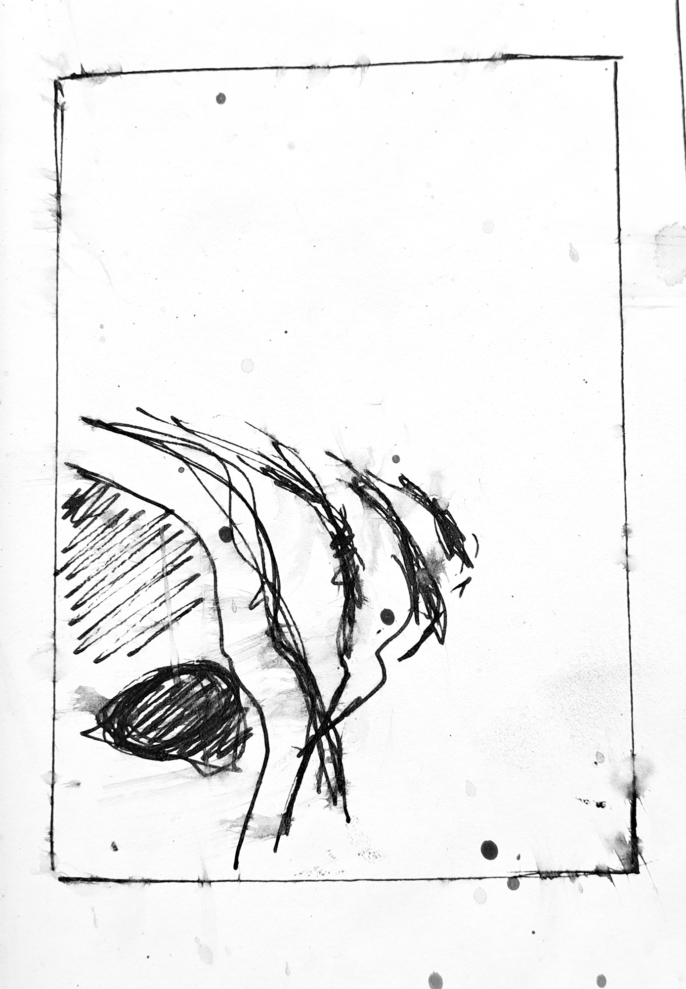Head 22