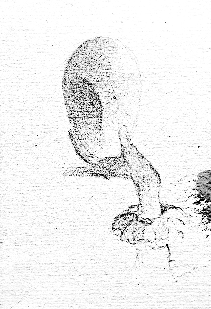 Head 06