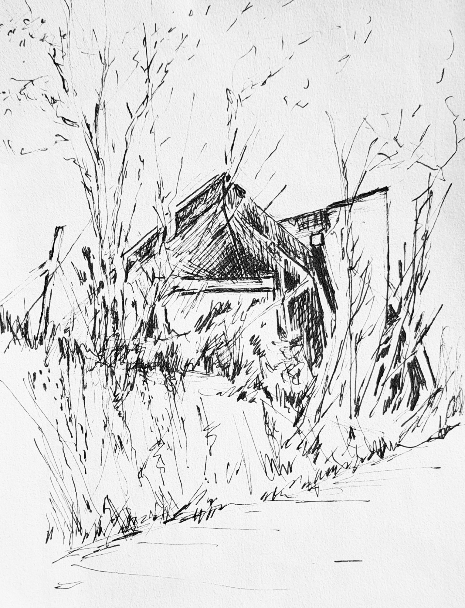 Landscape_10