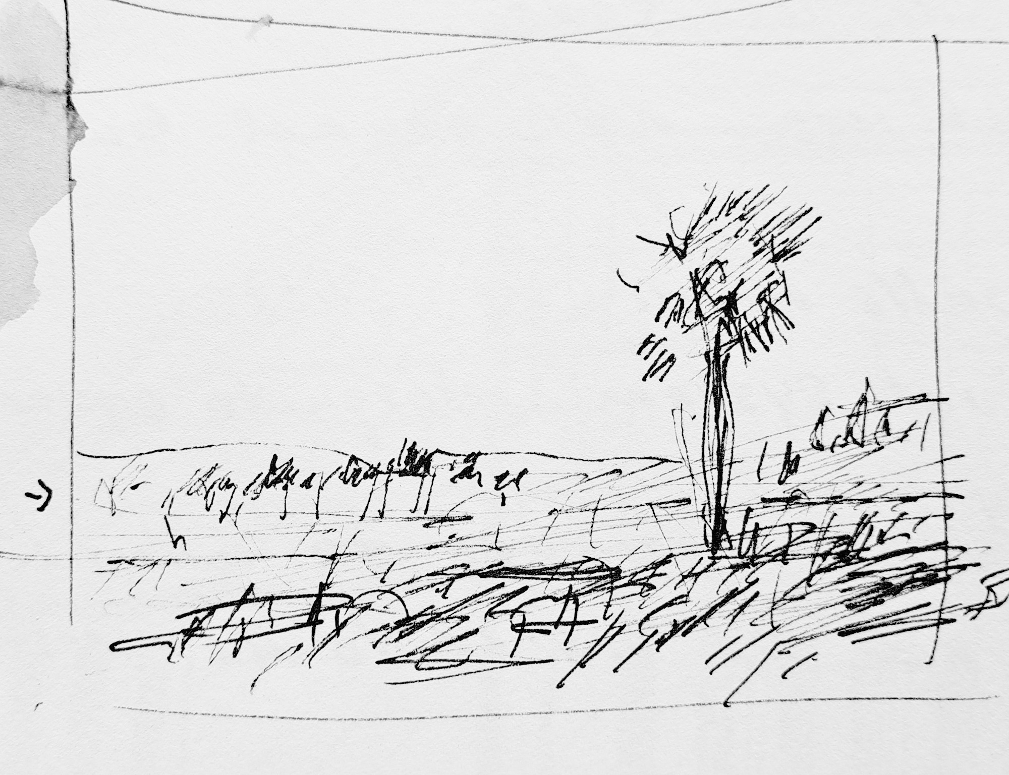 Landscape_16