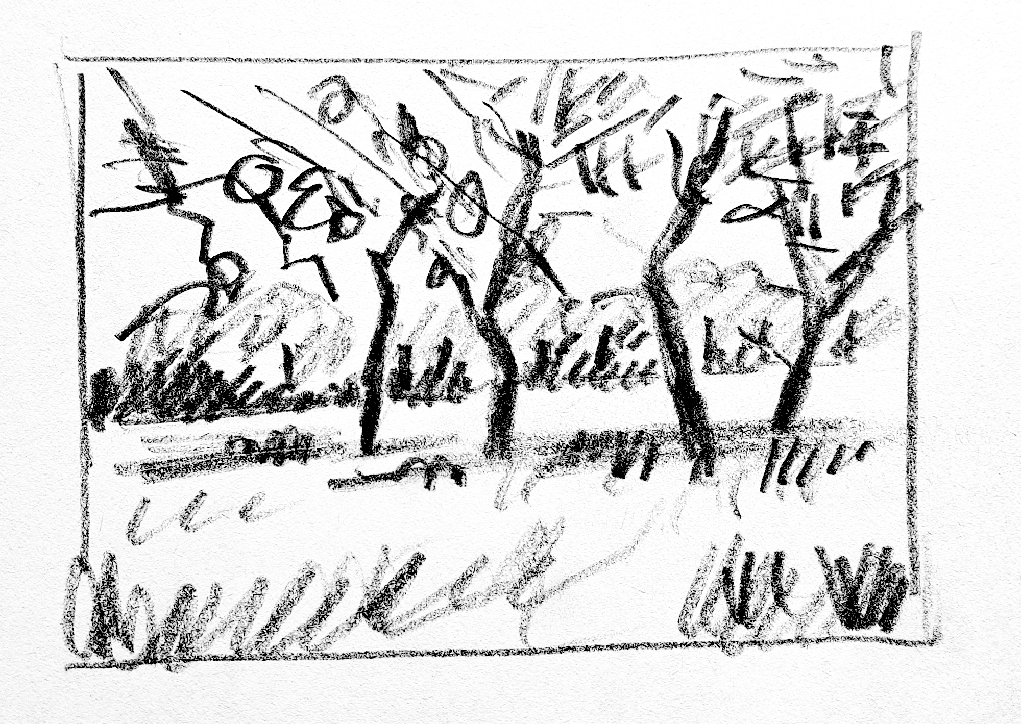 Landscape_38