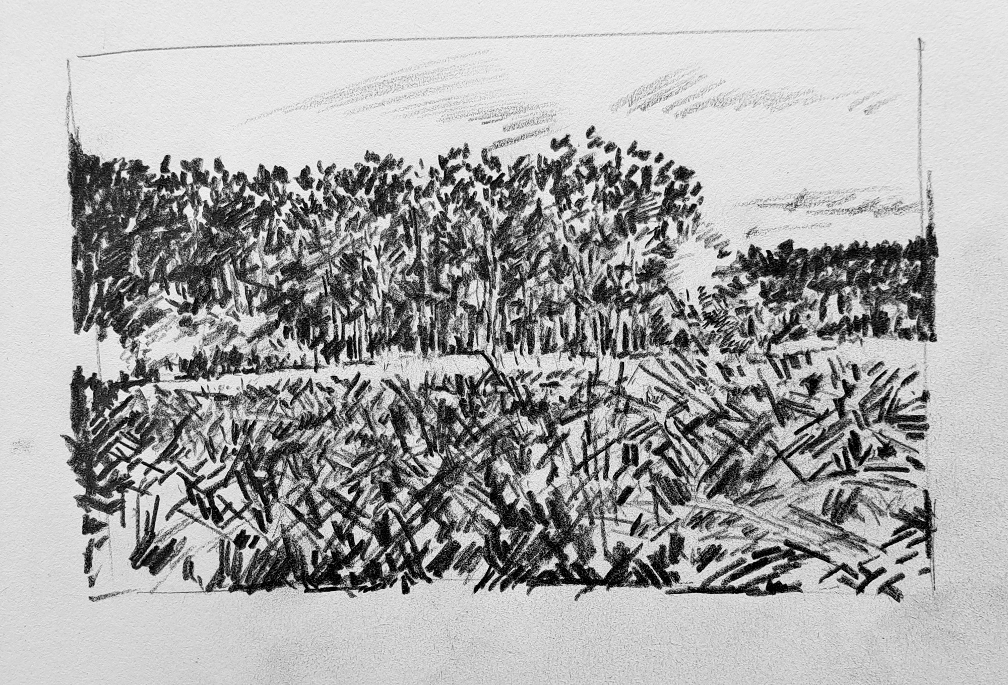 Landscape_48