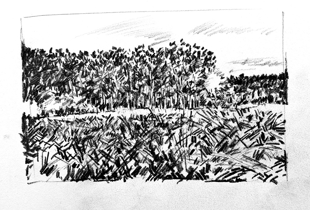 Landscape_48