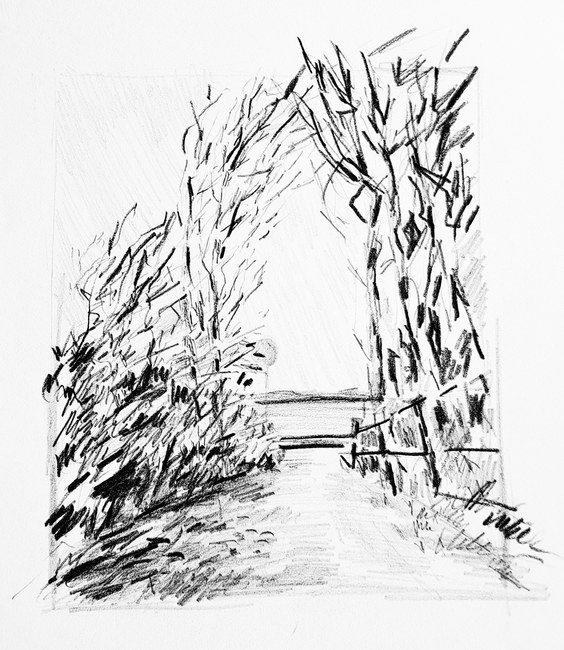 Water_37